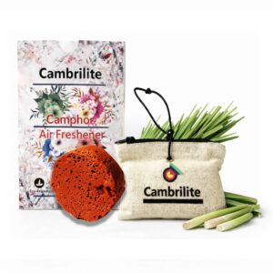 Camphor Hanging Pouch –  Cars & Closets 100% Organic Air Freshener Pack of 1 (Lemongrass)